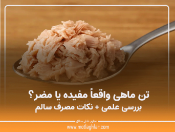 خواص و مضرات تن ماهی